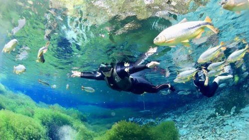 Aquário Natural Flutuação